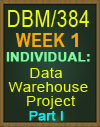 DBM/384 Data Warehouse Project Part 1